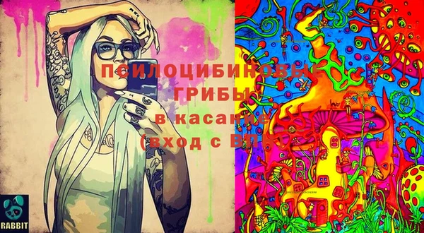 соль ск Аркадак