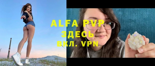 сатива Арсеньев