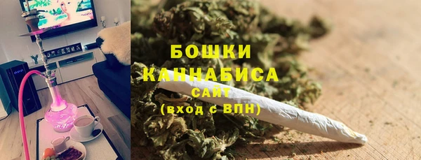 сатива Арсеньев
